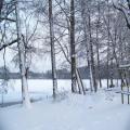 Winterblick von der Seestrasse (tn_100_4078.jpg) Zeesner See im Landkreis Dahme Spreewald